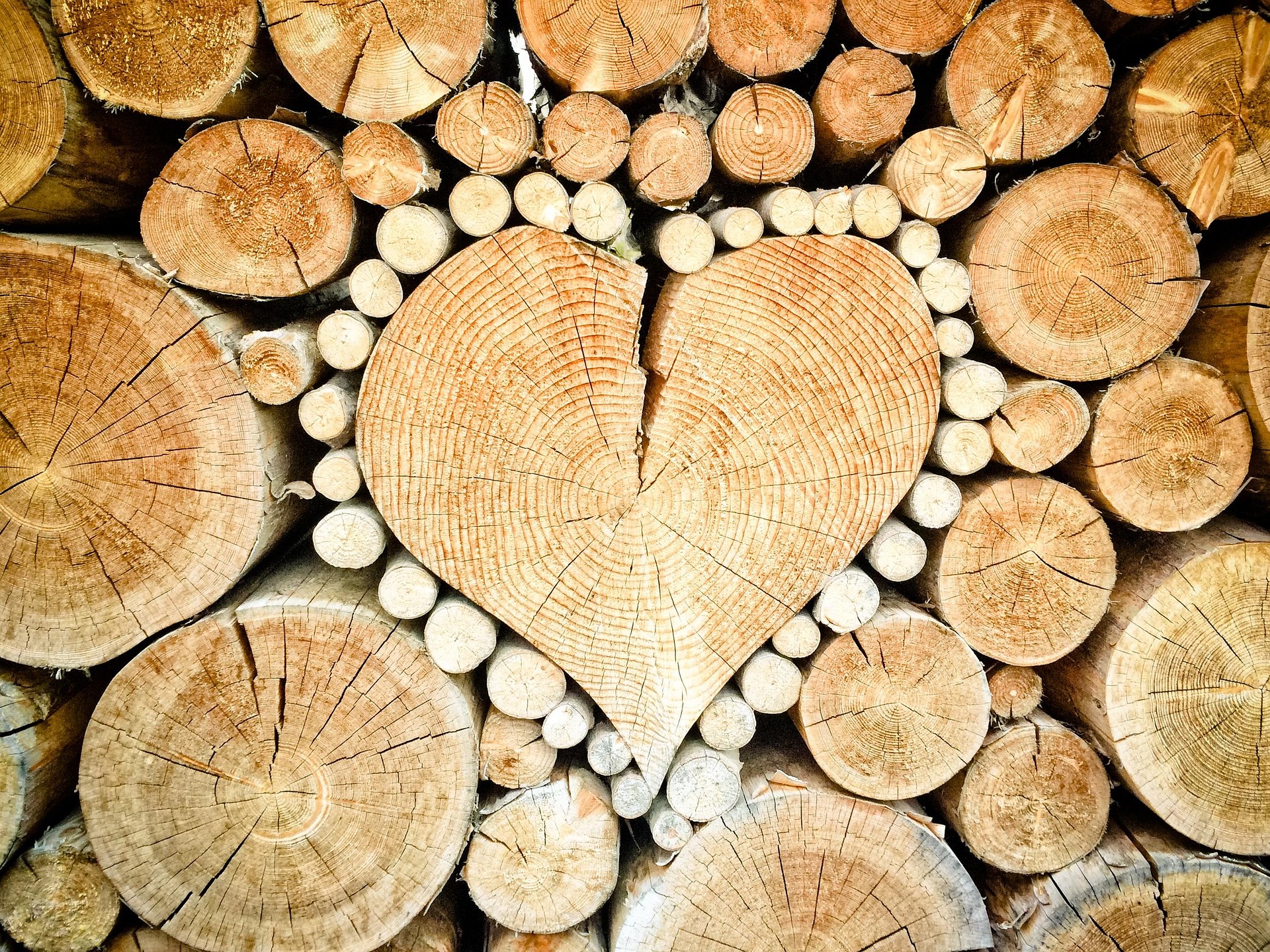 Seasoned Hardwood Firewood